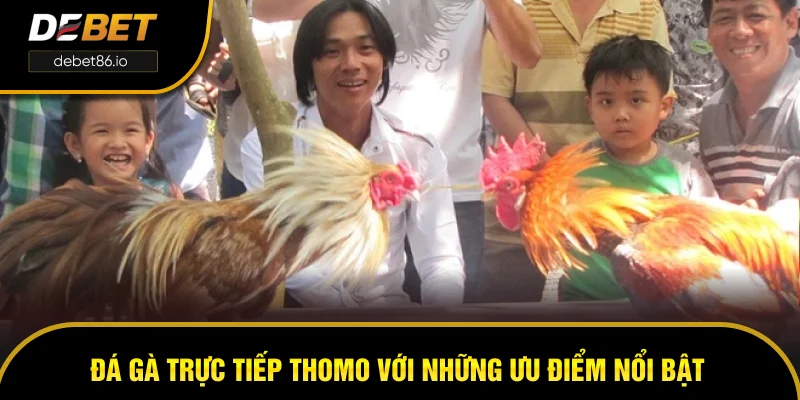 Đá gà trực tiếp Thomo với những ưu điểm nổi bật 