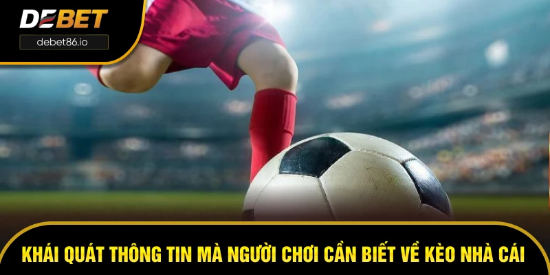 Khái quát thông tin mà người chơi cần biết về kèo nhà cái